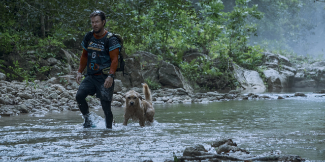 mężczyzna w stroju sportowym przechodzący przez rzekę z psem 