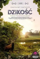Twój program blokuje obrazki