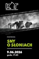 Twój program blokuje obrazki
