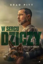 Twój program blokuje obrazki