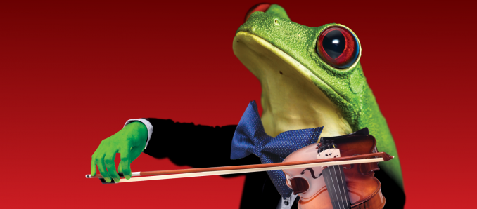 Żaba w garniturze gra na skrzypcach