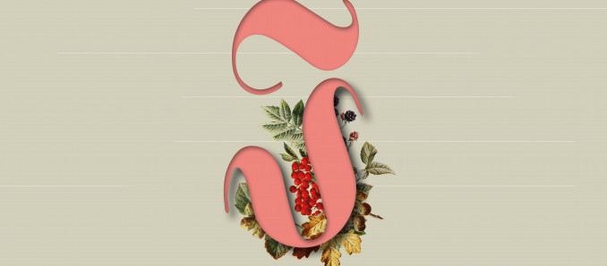 Graficzne ujęcie litery I. Jest ozdobiona liśćmi i jarzębiną
