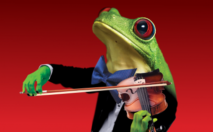 Żaba w garniturze gra na skrzypcach