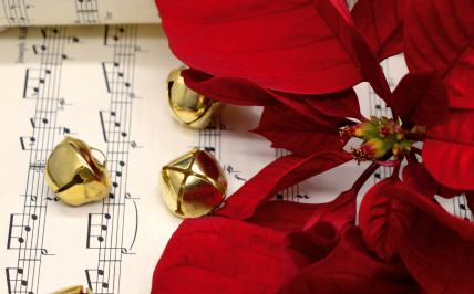 kwiat Gwiazda Betlejemska oraz nuty