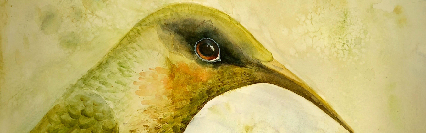 Ilustracja ptaka.