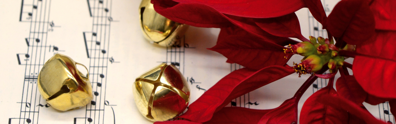 kwiat Gwiazda Betlejemska oraz nuty