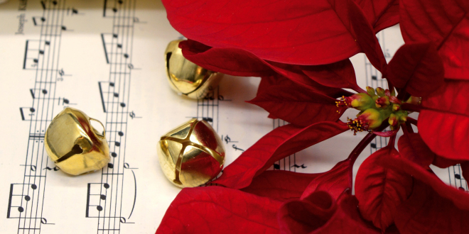 kwiat Gwiazda Betlejemska oraz nuty