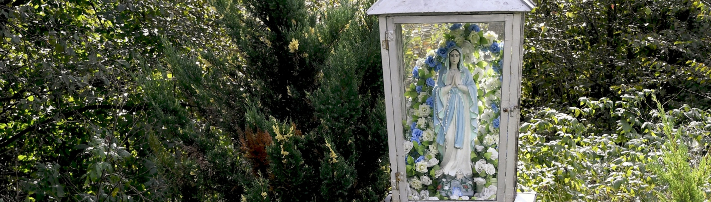 Kapliczka z figurą Maryi. W tle zielone krzewy.